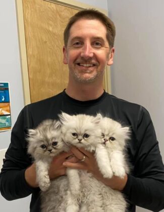 holding 3 kittens