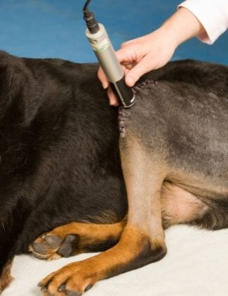 lasertherapy