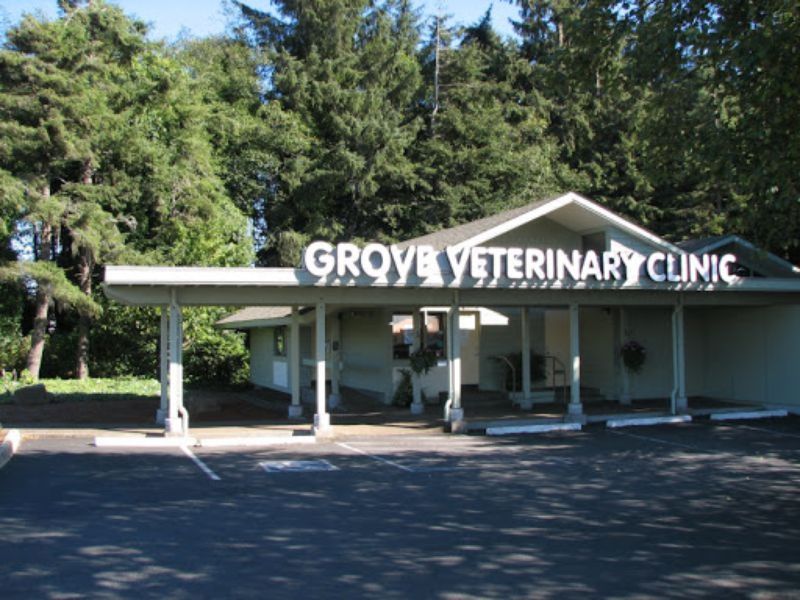 Apple Grove Veterinary Clinic