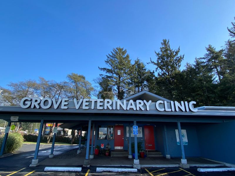 Apple Grove Veterinary Clinic