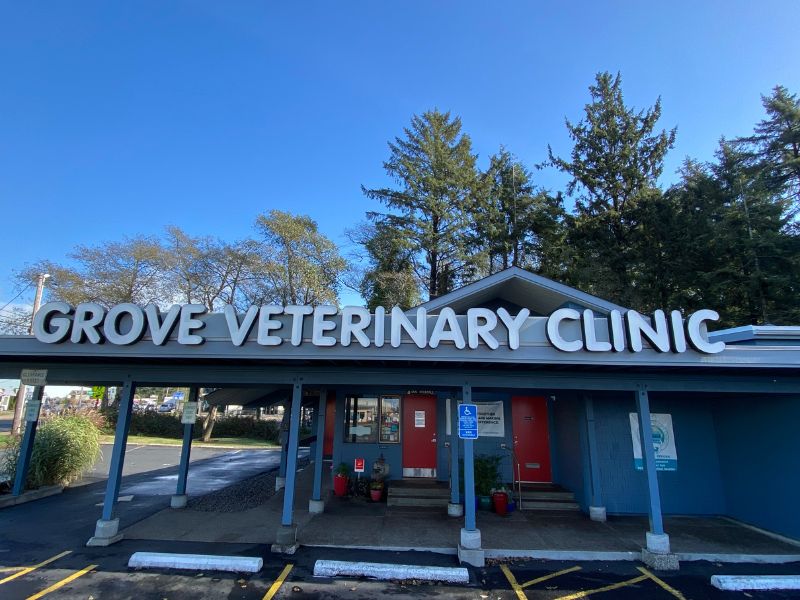 Grove Veterinary Clinic