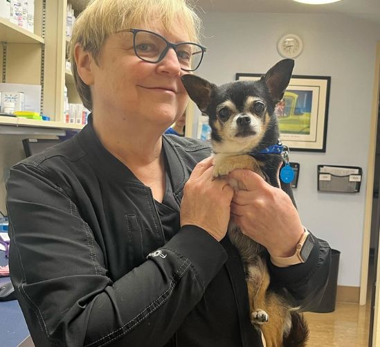 Grove Vet Clinic - Lynne Luna